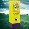 Prodigy Tower Players Player Football Trophy (FREE CLUB LOGO)