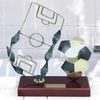 Santander Football Pitch Handmade Metal Trophy