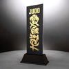 Shadowline Judo Trophy – Stainless Steel Award