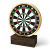 Holt Colour Darts Real Wood Trophy