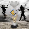 Napoli Martial Arts Silver Trophy Cup