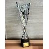 Chester Basketball Silver Trophy