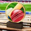 Holt Colour Cricket Real Wood Trophy