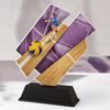 Paris Female Volleyball Trophy