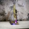 Cannes Money Bag Trophy