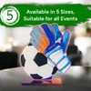 Cannes Football Goalkeeper Trophy