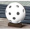 Sierra Classic Floorball Ball Real Wood Trophy