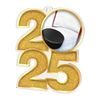 Ice Hockey 2025 Medal