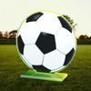 Cannes Football Ball Trophy