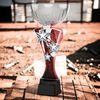 Triple Star Shooting Silver Trophy Cup