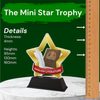 Mini Star English Literature Trophy