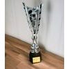 Chester Paintball Silver Trophy