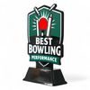 Pavilion Best Bowling Performance of the Year Cricket Trophy