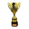 Casper Gold Cup
