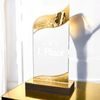 United Ballet Acrylic Wood Fusion Trophy