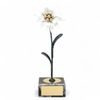 Laza Edelweiss Flower Handmade Metal Trophy