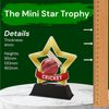 Mini Star Cricket Trophy