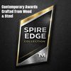 Spire Edge Metal & Wood Martial Arts Trophy