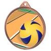 Volleyball Colour Texture 3D Print Bronze Medal