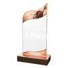 United Acrylic Wood Classic Shooting Trophy