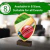 Arden Cricket Real Wood Shield Trophy
