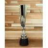 Chester Tenpin Bowling Gold Trophy