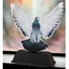 Ostrava Pigeon Racing Trophy
