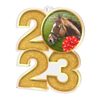 Horse Racing 2023 Acrylic Medal