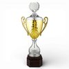 Egerton Silver & Gold Logo Cup