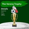 Verona Football Ball and Boot Trophy