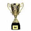Ferdinand Gold Cup