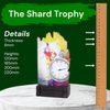 Shard Male Running Eco Friendly Wooden Trophy