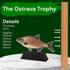 Ostrava Carp Fish Trophy