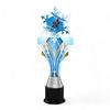 Verbier Biathlon Skiing Snowflake Trophy
