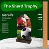 Shard Football Eco Friendly Wooden Trophy