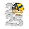 Volleyball 2025 Medal