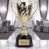 Radley Gold Cup