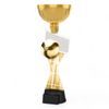 Vancouver Classic Volleyball Gold Cup Trophy