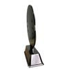 Sentinel Stainless Steel Carp Fishing Trophy