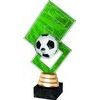 Hanover Football Pitch Trophy