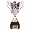 Ferdinand Silver Cup