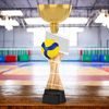 Vancouver Volleyball Gold Cup Trophy
