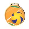 Habitat Volleyball Gold Eco Friendly Wooden Medal
