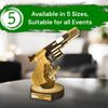 Grove Classic Pistol Shooting Real Wood Trophy