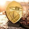 Arden Classic Basketball Real Wood Shield Trophy