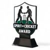 Pavilion Spirit of Cricket Award Trophy