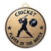 Quantum Cricket Player of the Match Stainless Steel Medal