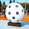 Sierra Pickleball Ball Real Wood Trophy