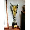 Chester Tennis Gold Trophy