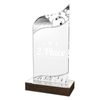 United Acrylic Wood Classic Bowling Trophy